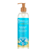 MIELLE MOISTURE RX SHAMPOO 12 OZ by Mielle