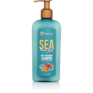 MIELLE SEA MOSS SHAMPOO 8 OZ by Mielle
