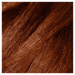 D&L COLOR NEW #326 BRY BRGNDY by D&L