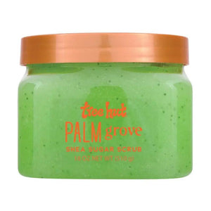 TH PALM GROVE SHEA SUGAR SCRUB 18OZ by Tree Hut